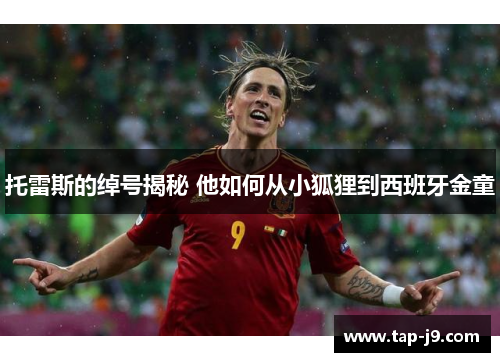 托雷斯的绰号揭秘 他如何从小狐狸到西班牙金童