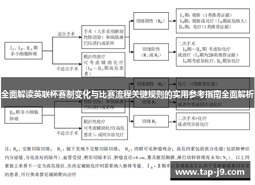 全面解读英联杯赛制变化与比赛流程关键规则的实用参考指南全面解析