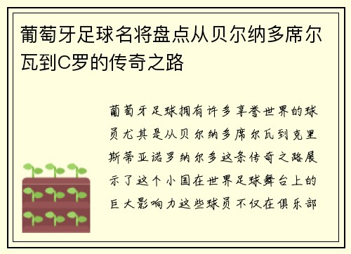 葡萄牙足球名将盘点从贝尔纳多席尔瓦到C罗的传奇之路