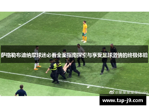萨格勒布迪纳摩球迷必看全面指南探索与享受足球激情的终极体验