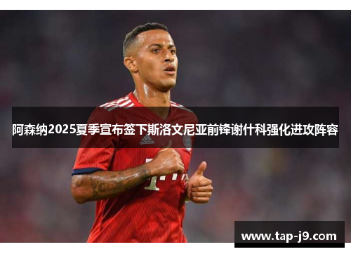 阿森纳2025夏季宣布签下斯洛文尼亚前锋谢什科强化进攻阵容