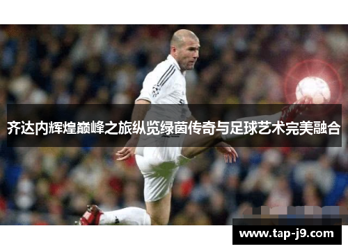 齐达内辉煌巅峰之旅纵览绿茵传奇与足球艺术完美融合