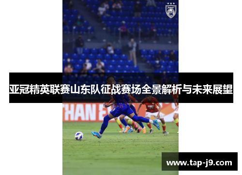 亚冠精英联赛山东队征战赛场全景解析与未来展望