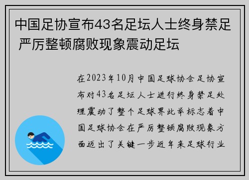 中国足协宣布43名足坛人士终身禁足 严厉整顿腐败现象震动足坛